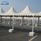 De Tent van de commerciële 10 x 10 Pagodeluifel voor Tuin Witte en Zwarte Kleur